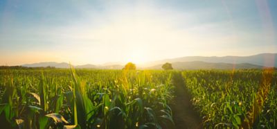 Syngenta  | DXC Customer Stories